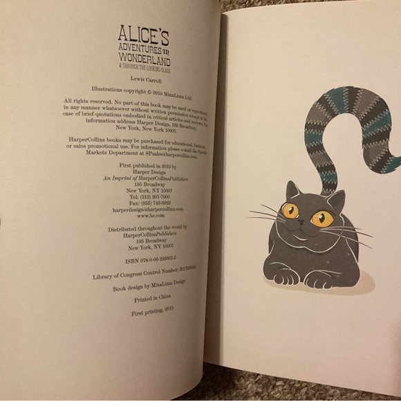 Alice’s Adventures in Wonderland & Through the Looking Glass - Illustrated - Picture 8 of 14